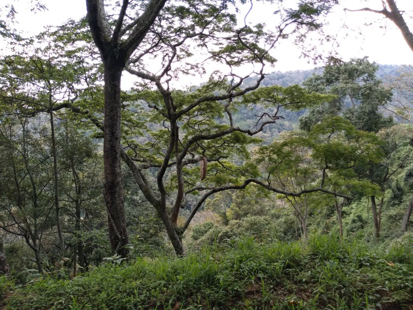 img_20181016_154018119