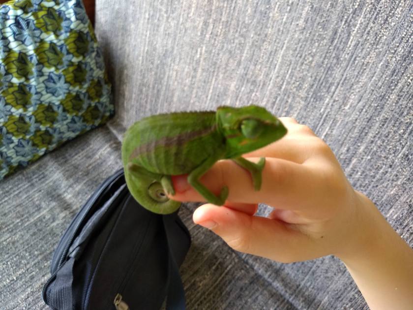 img_20181018_140253425