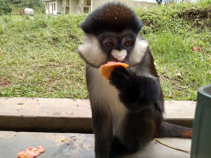 img_20181104_140138025_hdr