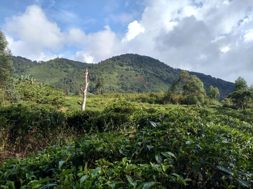 img_20181104_161656450_hdr