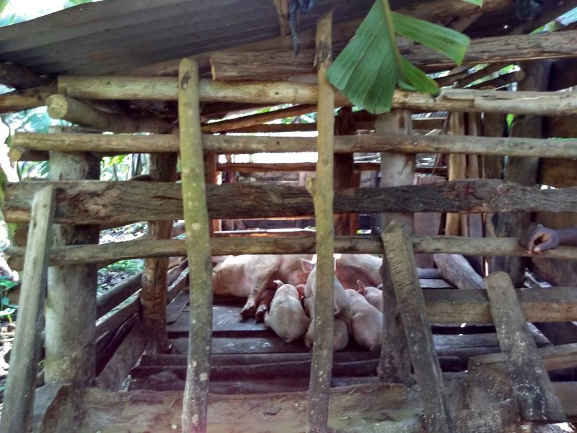 img_20181111_095007849_hdr