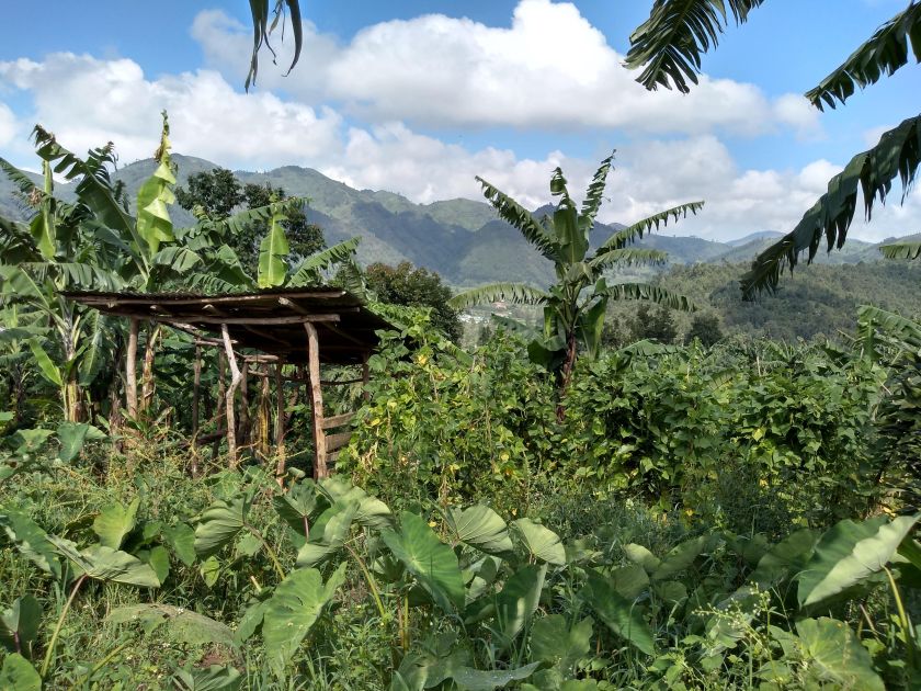 img_20181111_101243358_hdr