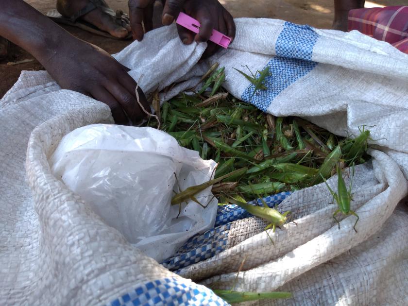 img_20181111_1035488711