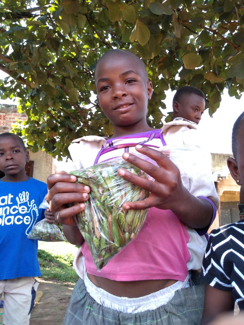 img_20181111_1036000532