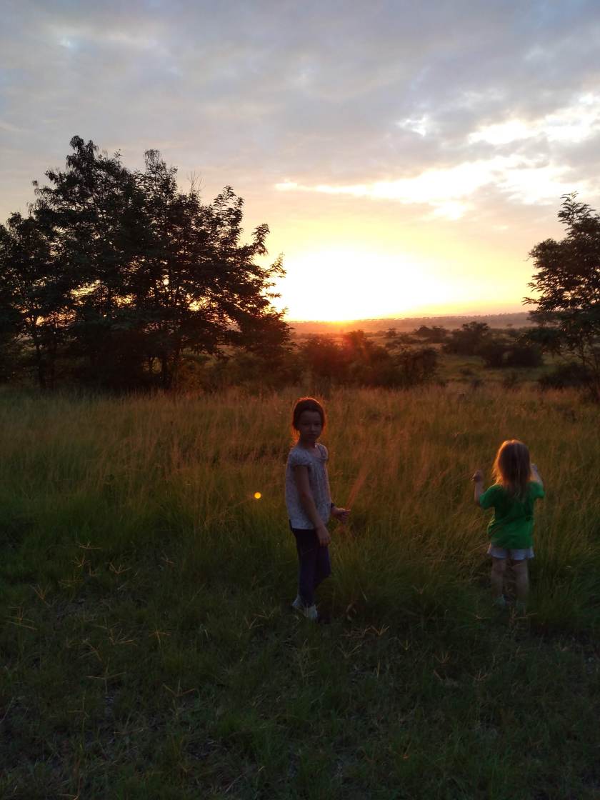 img_20181123_065424761_burst000_cover