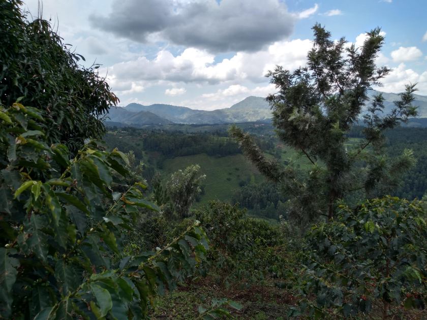 IMG_20181111_130606885_HDR