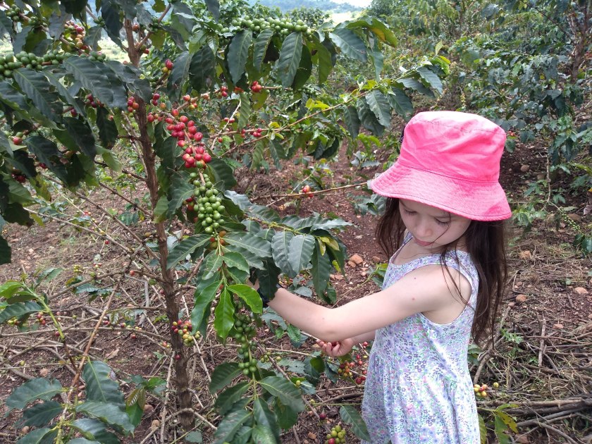 IMG_20181111_131901997