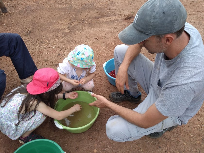 IMG_20181111_134856163