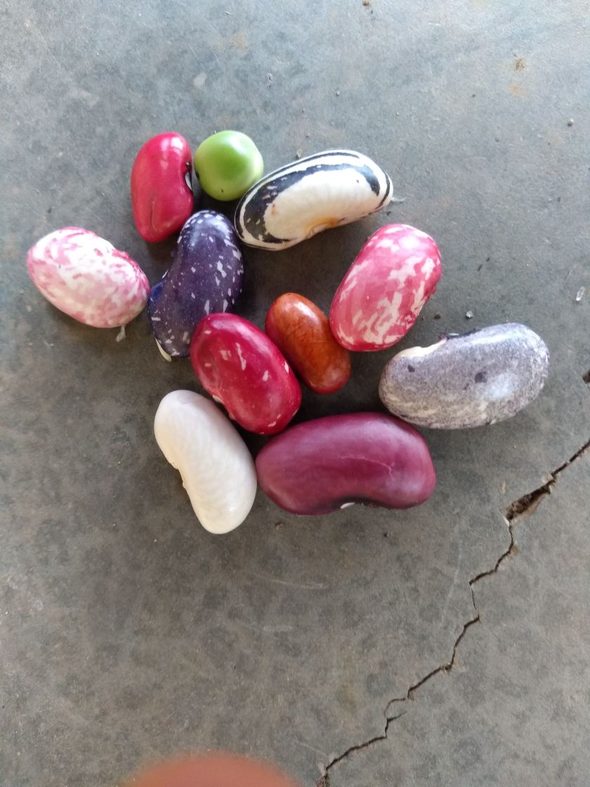 img_20181208_1655117011