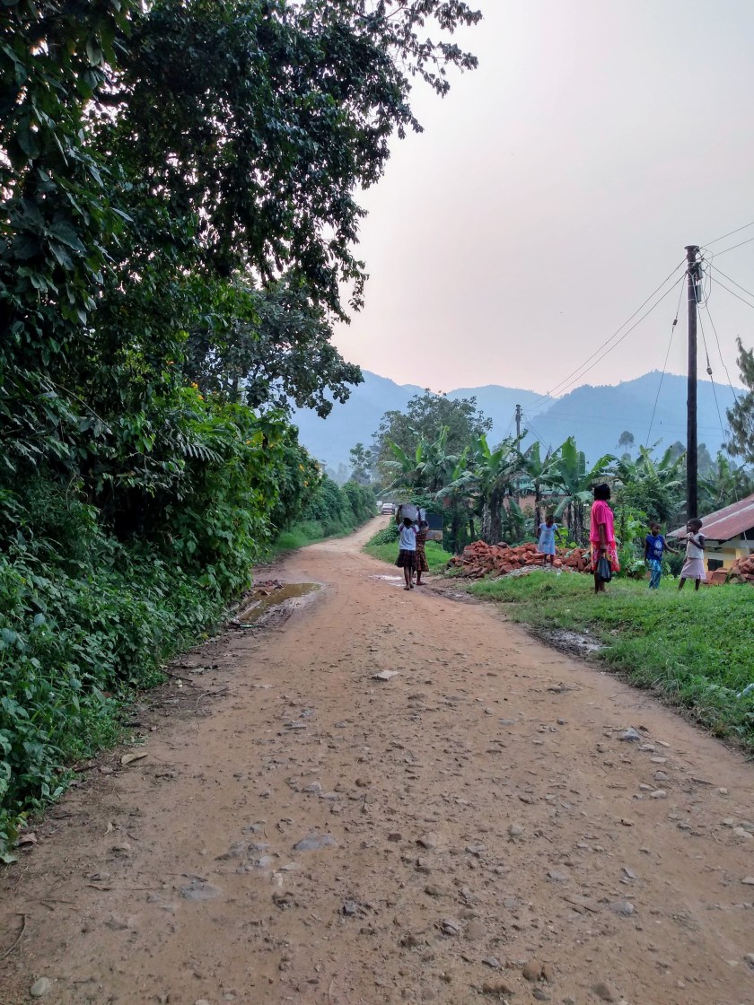 IMG_20190122_181504218_HDR