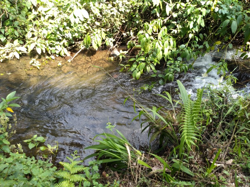 img_20190127_155303623