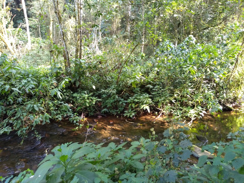 img_20190127_163619149