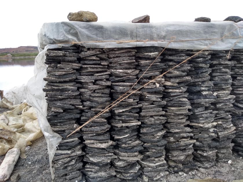 img_20190221_122516795_hdr