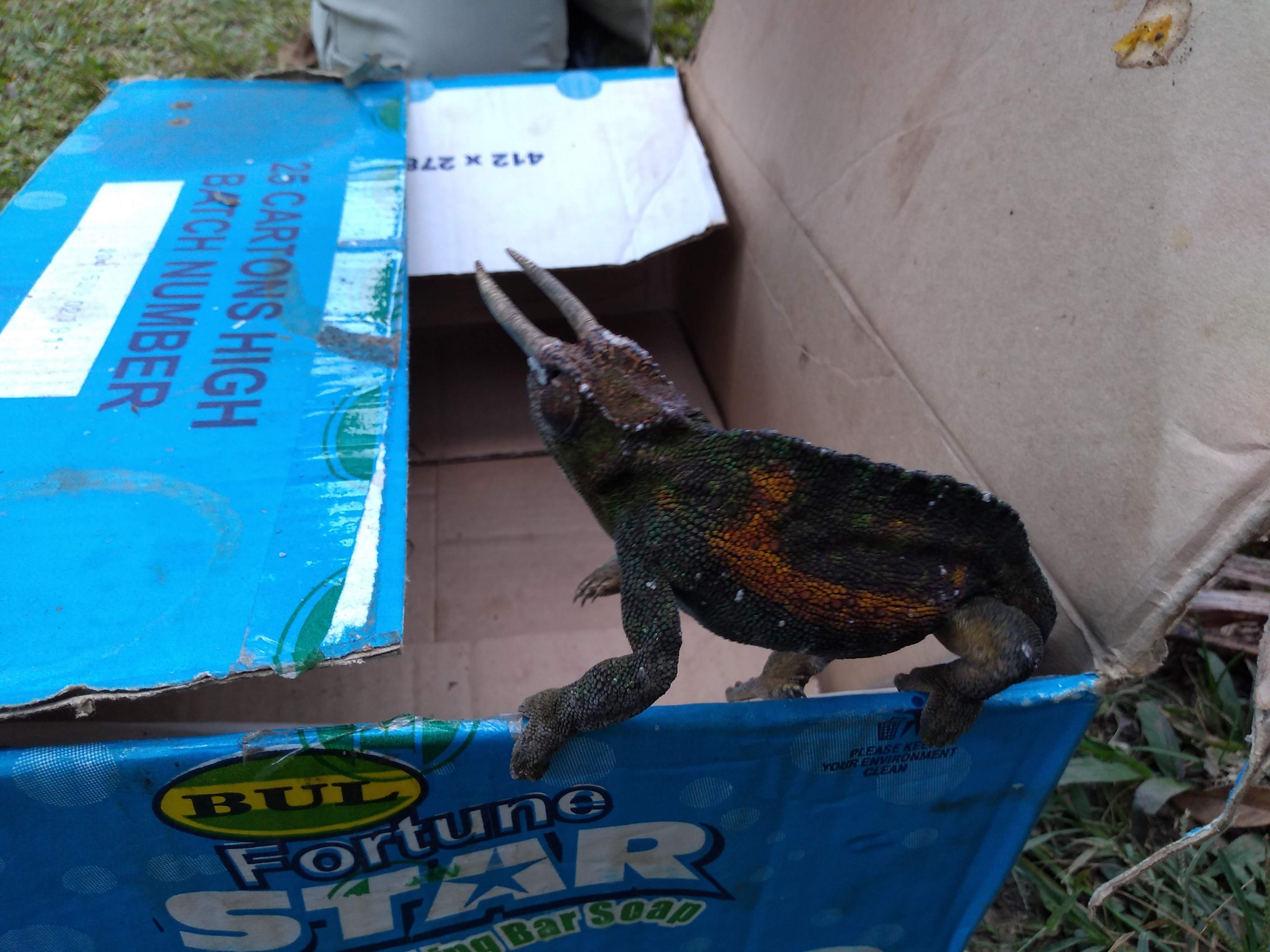 img_20190315_183704102