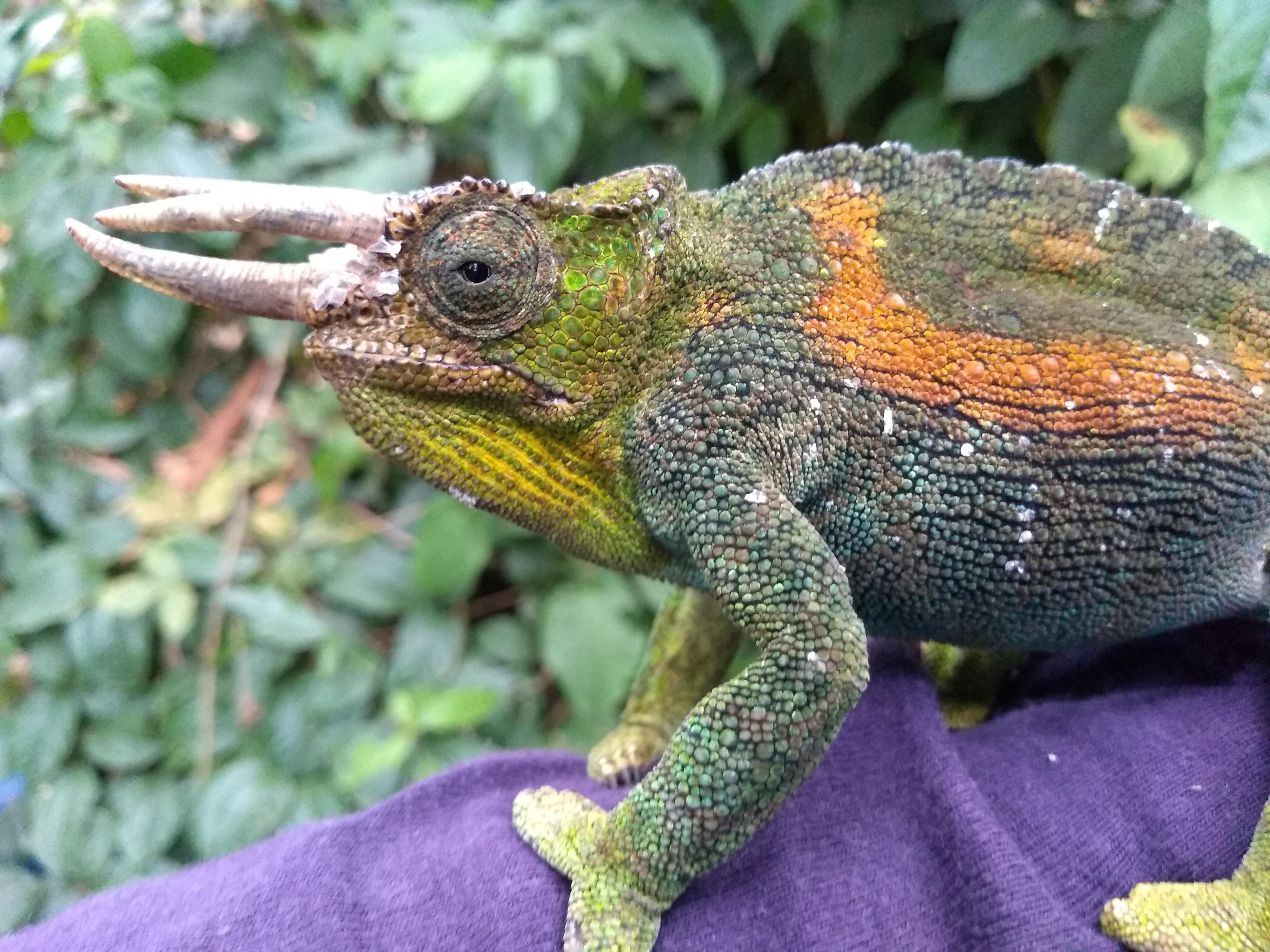 img_20190316_075415741