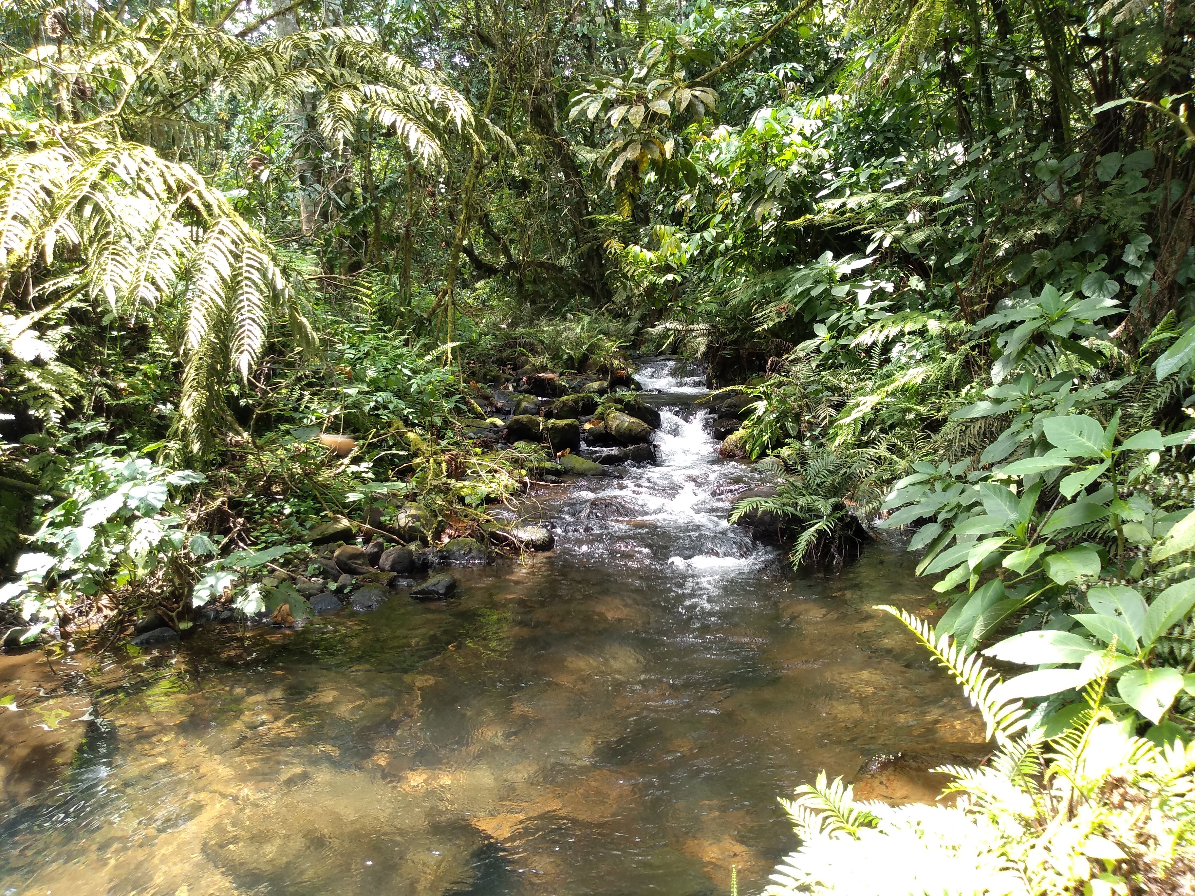 img_20190331_120213228