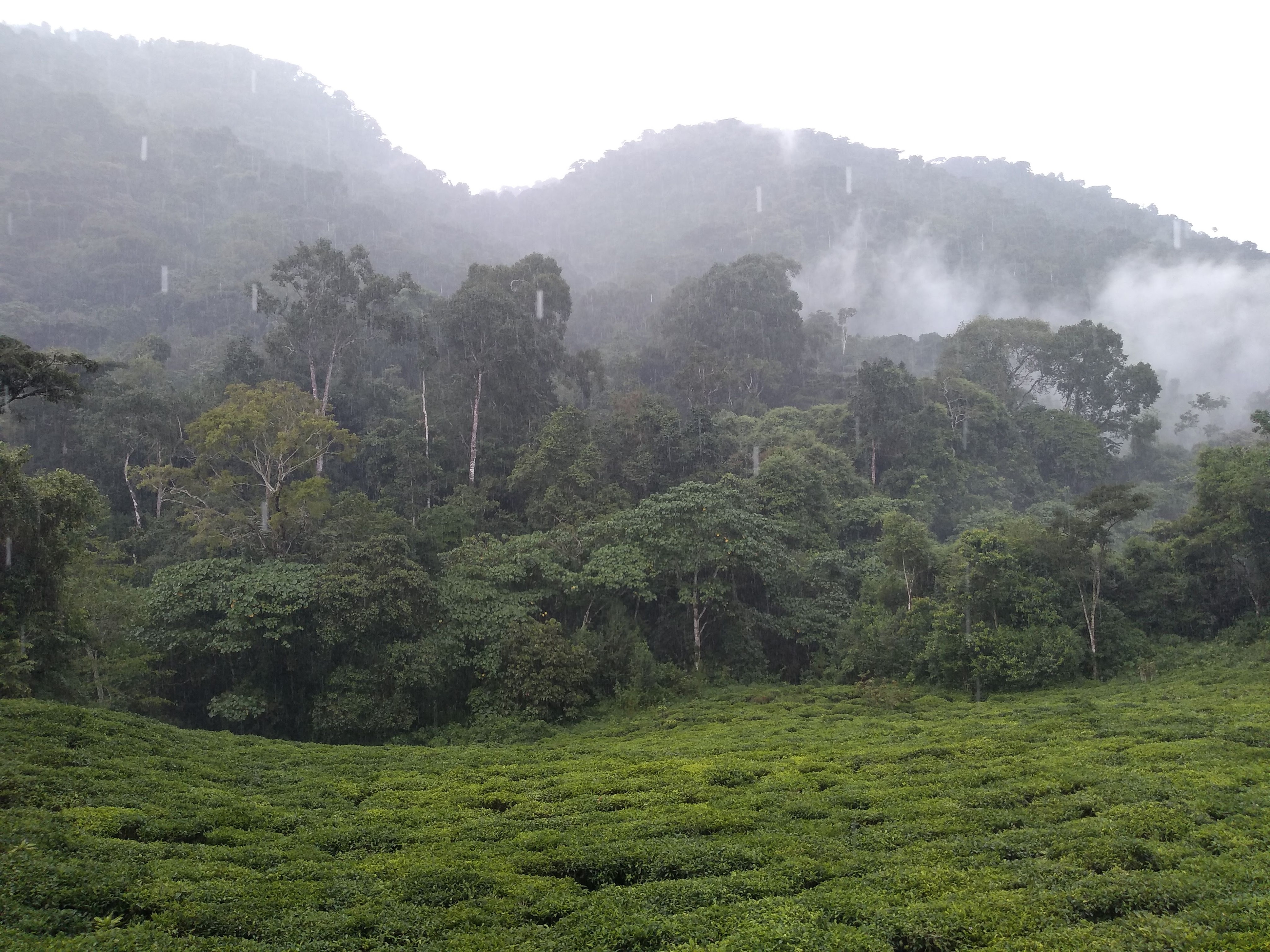 img_20190602_111048069