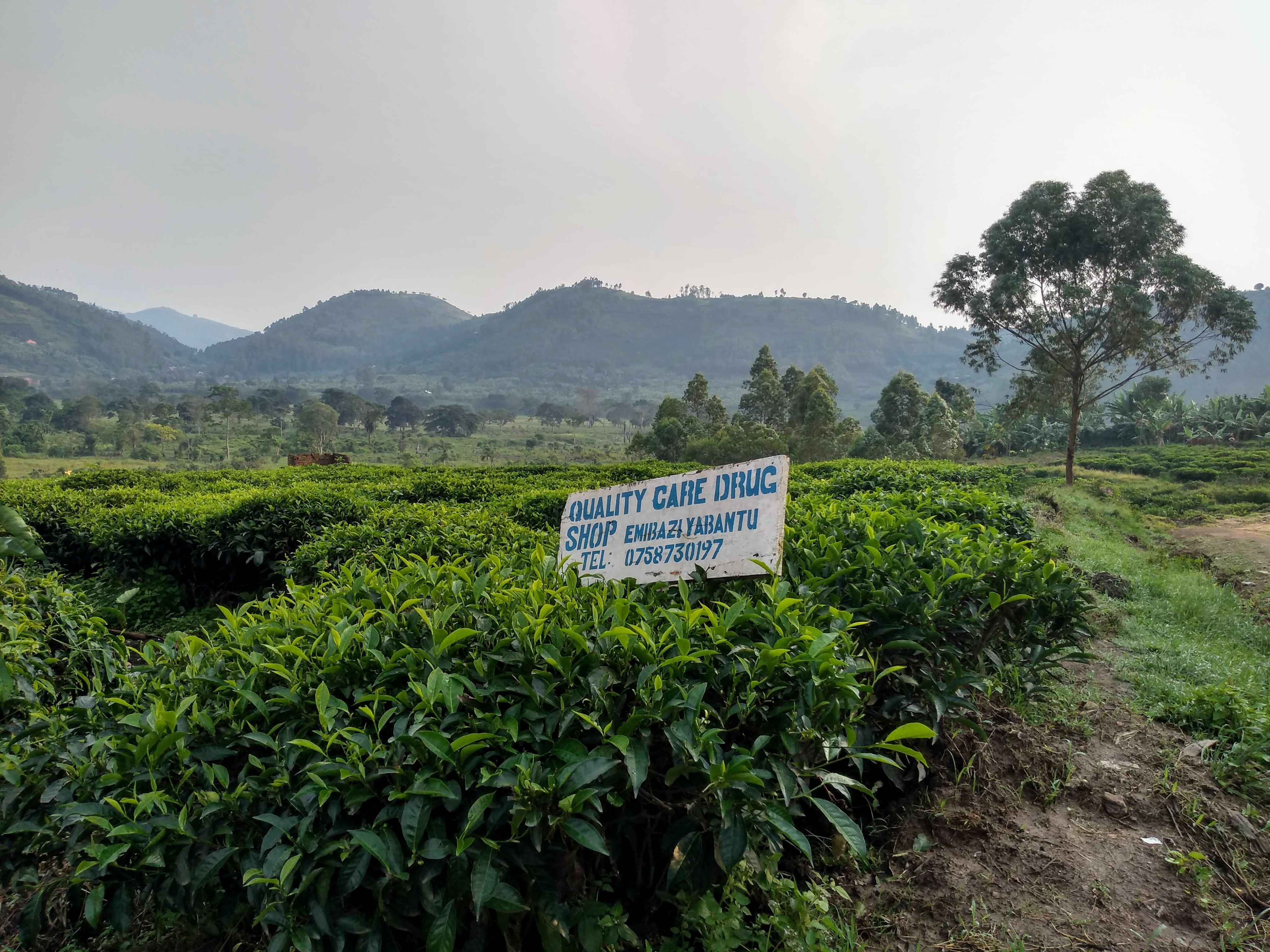 img_20190630_081636186_hdr