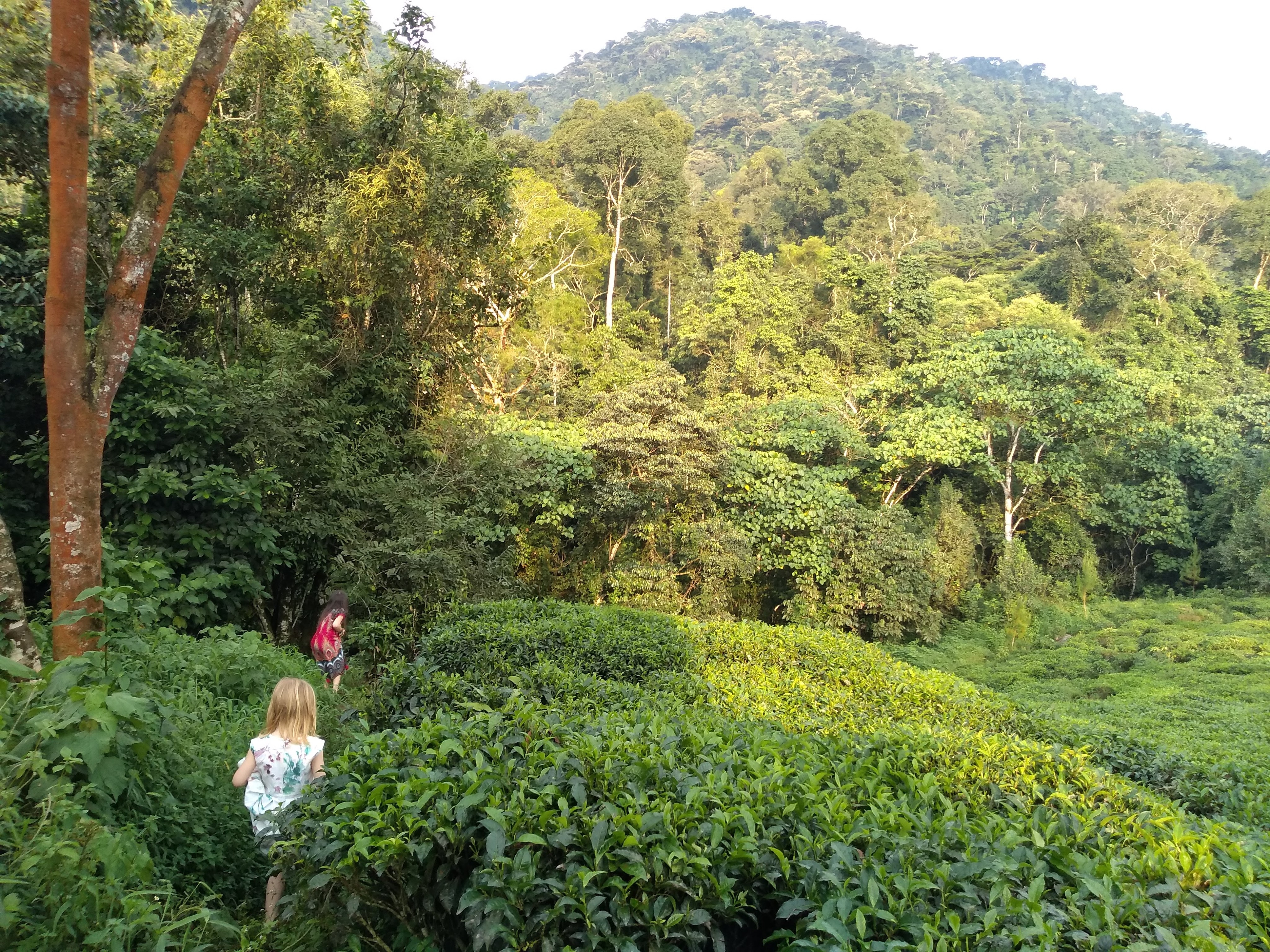 img_20190709_174659549