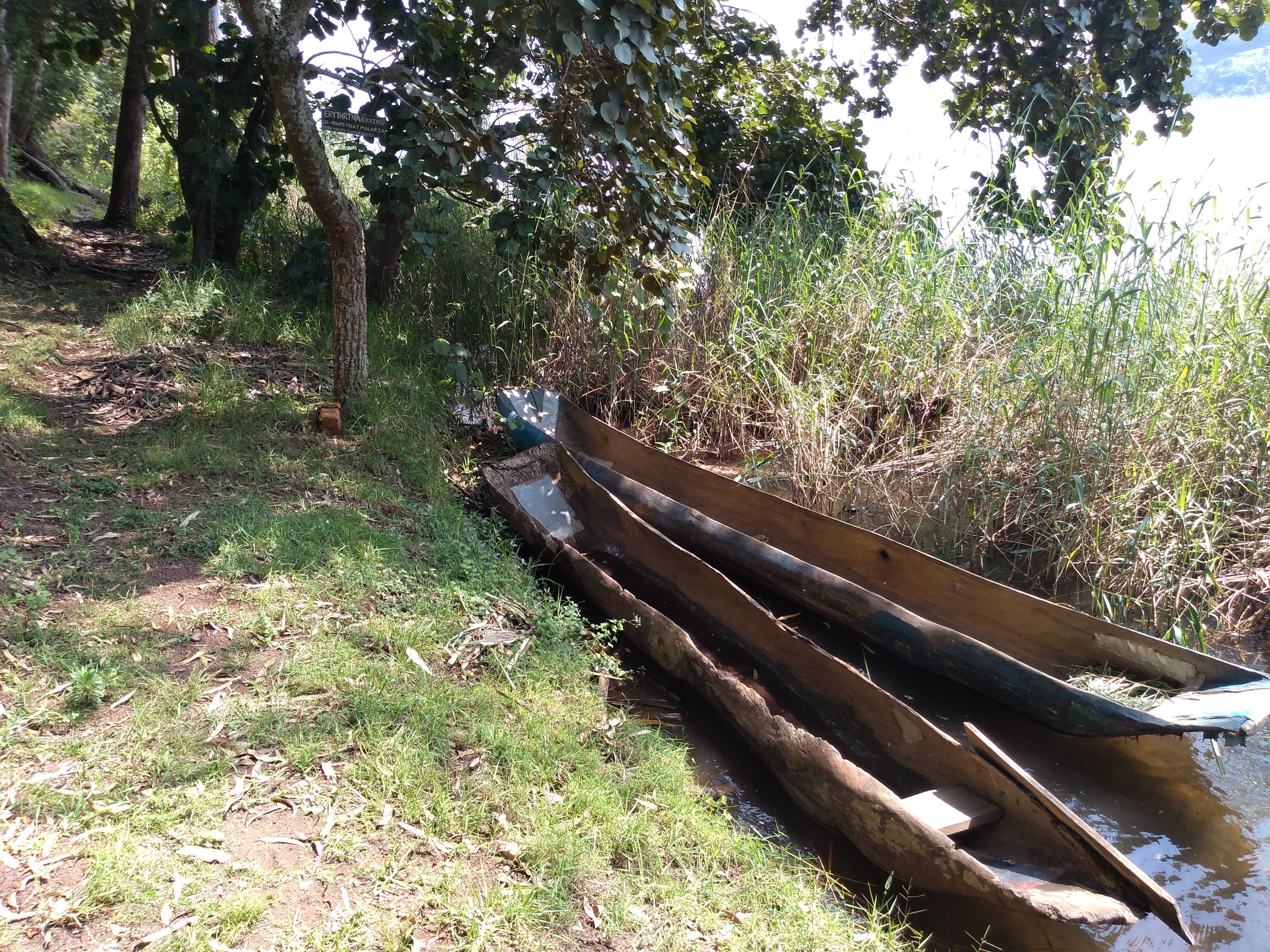 img_20190711_121753608