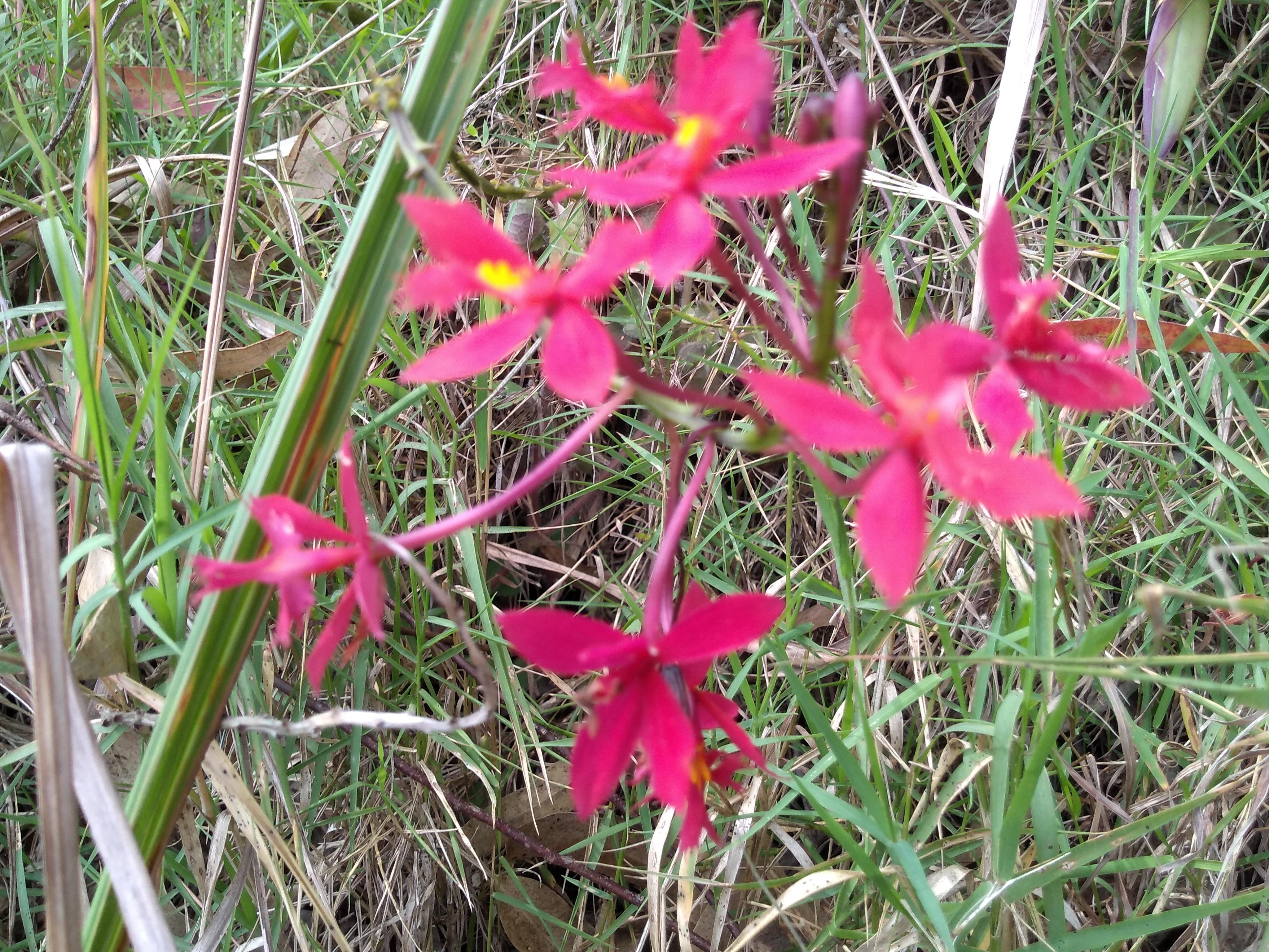 img_20190711_130033688