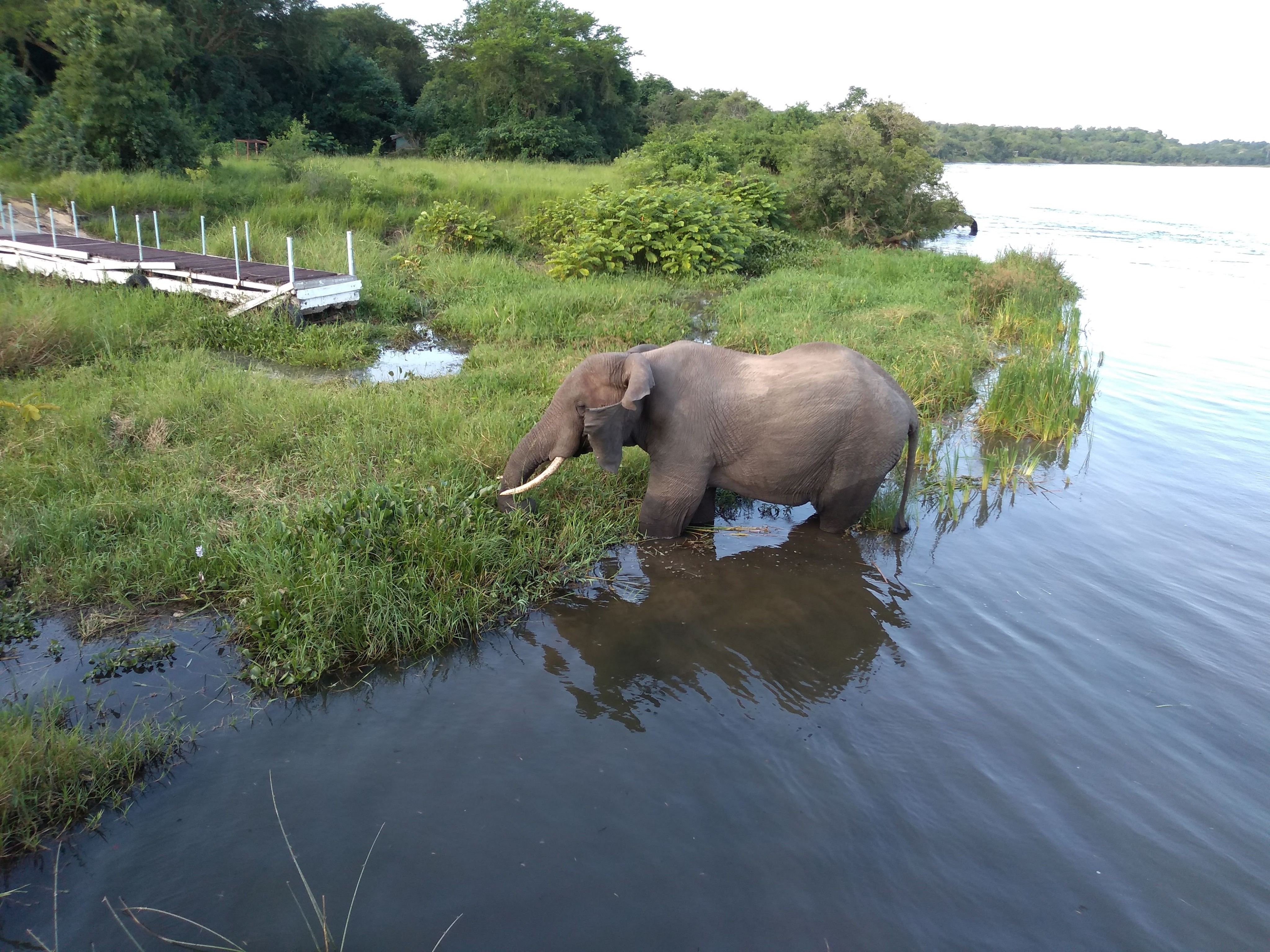 img_20190717_171003715