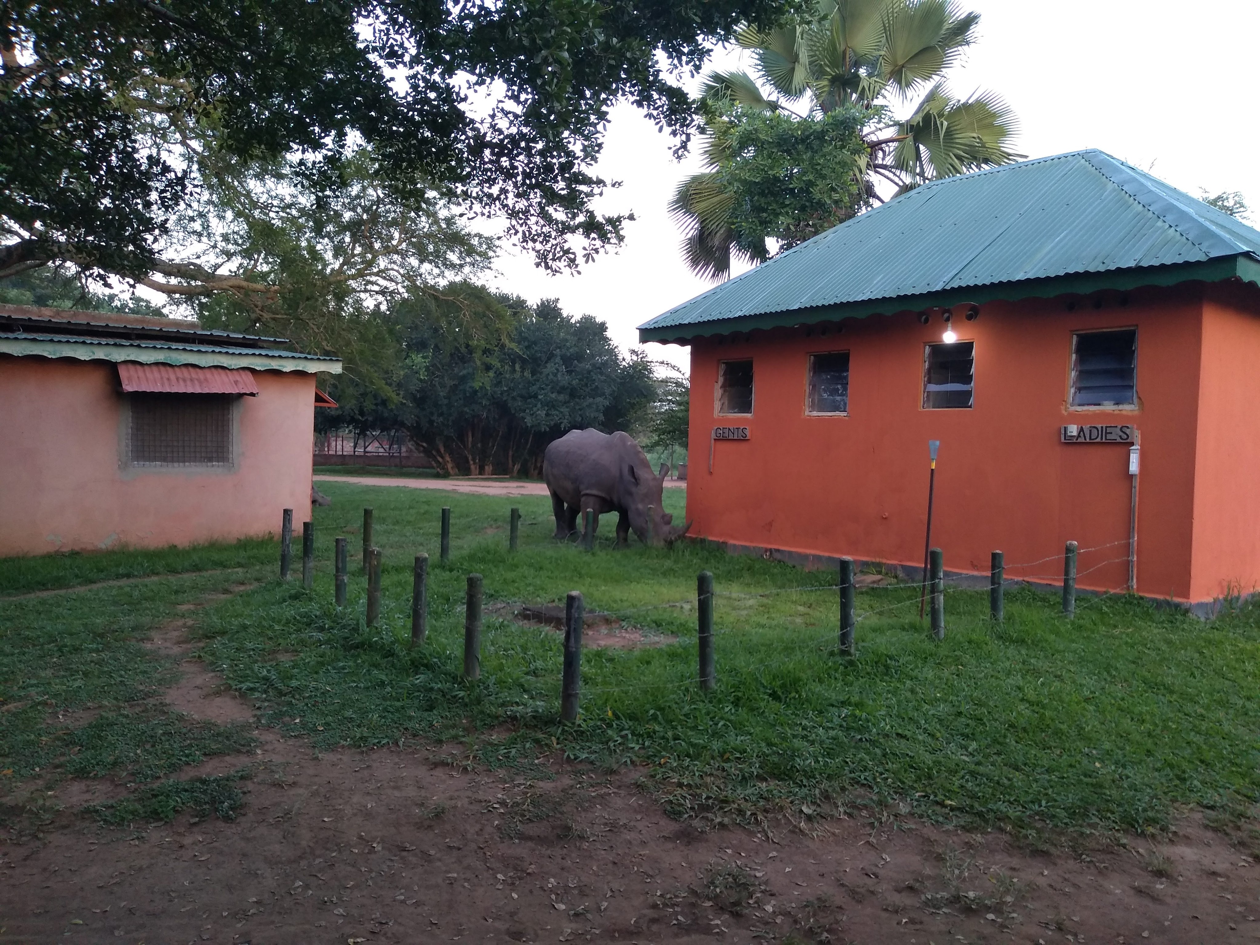 img_20190719_065656262