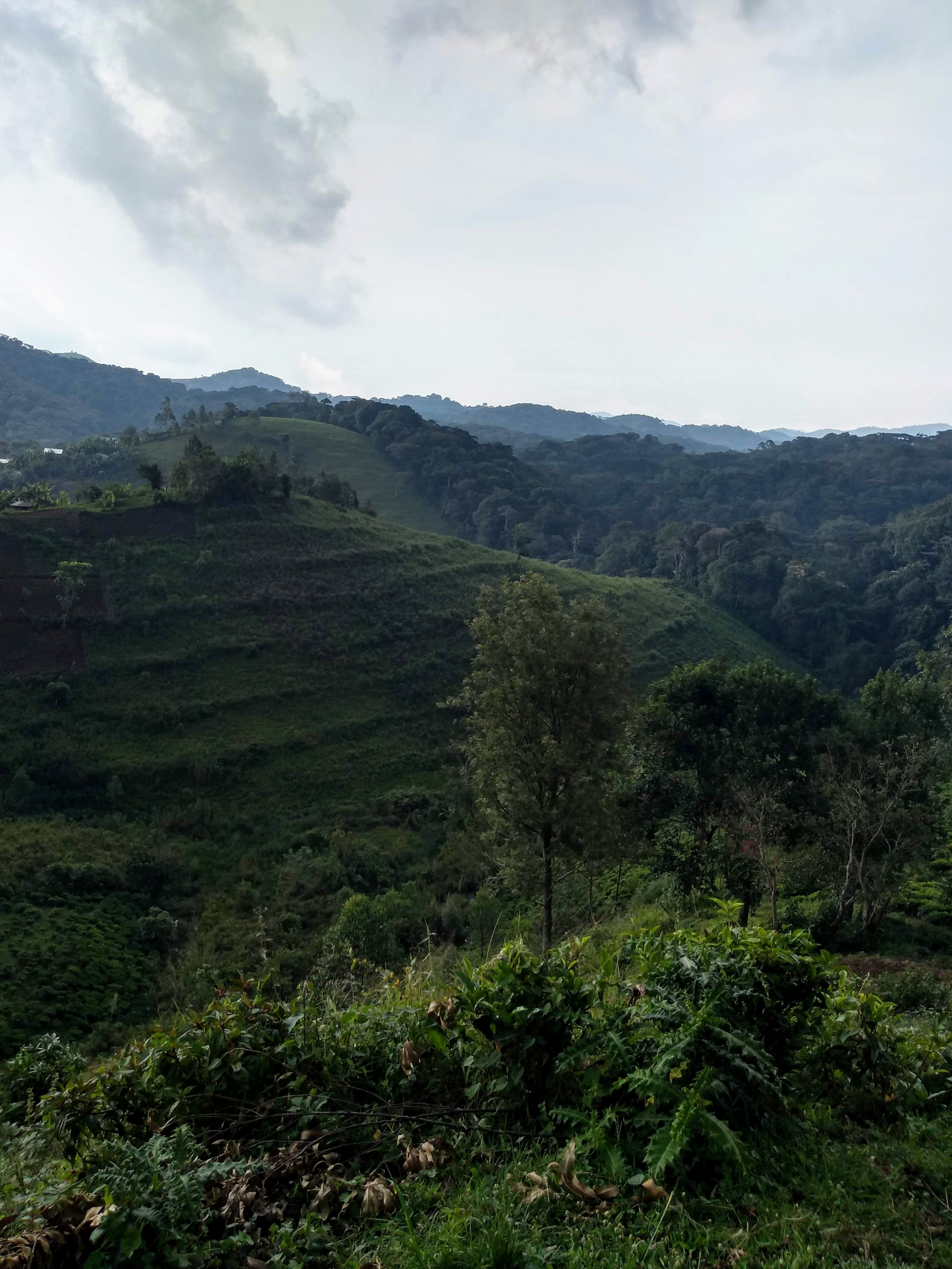 img_20190609_150848441_hdr