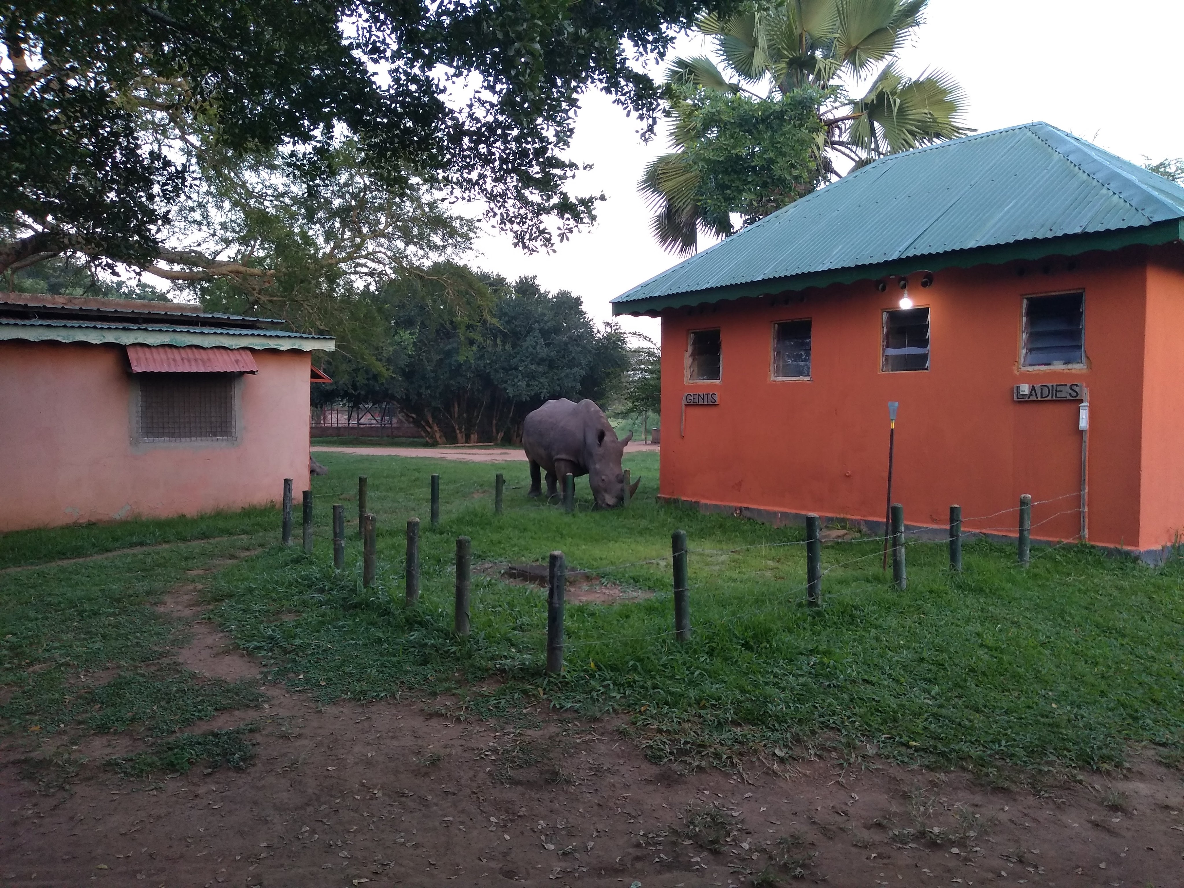 img_20190719_065654433