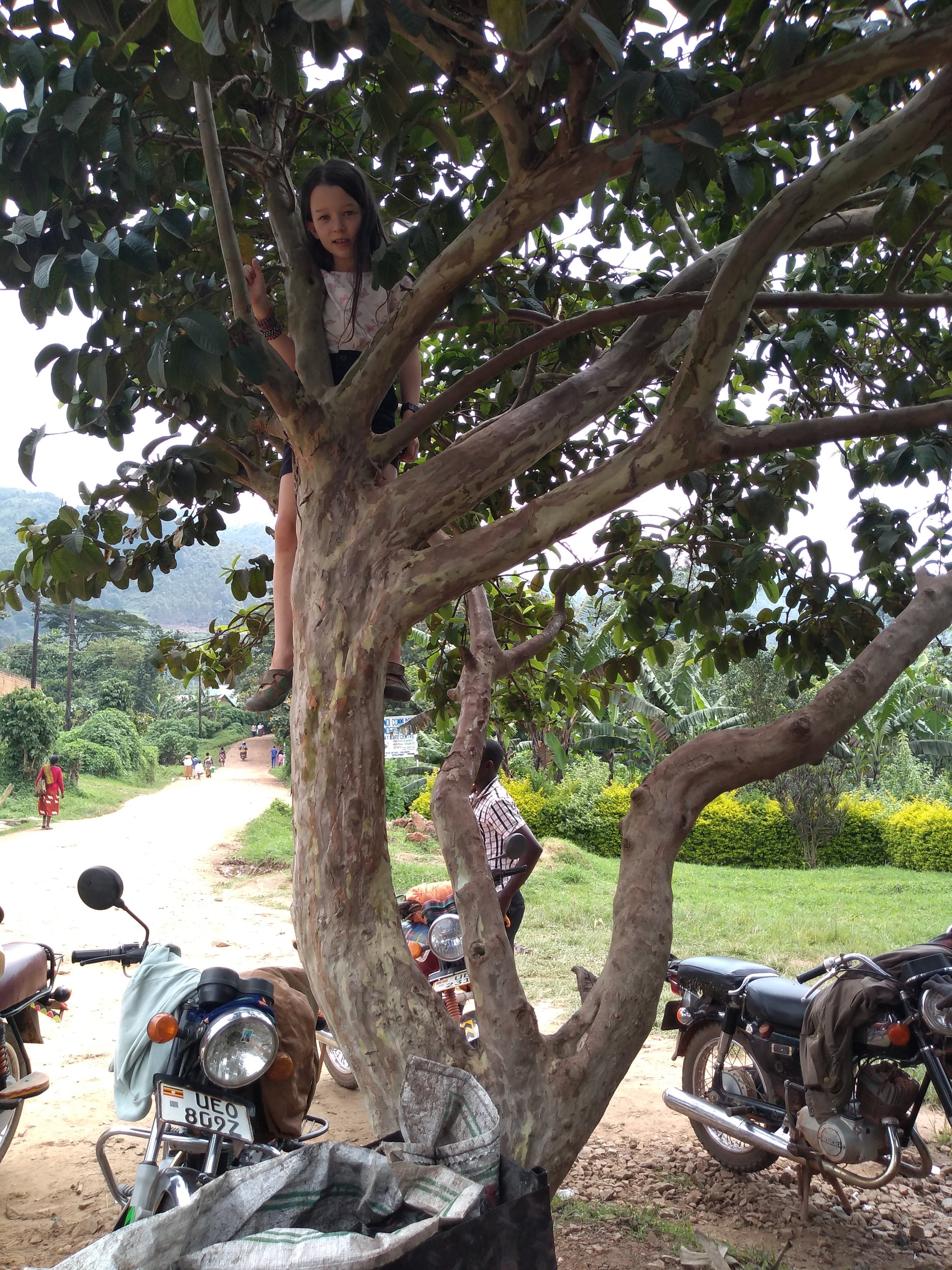 img_20190802_134325862