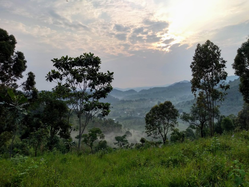 img_20190622_075143145_hdr