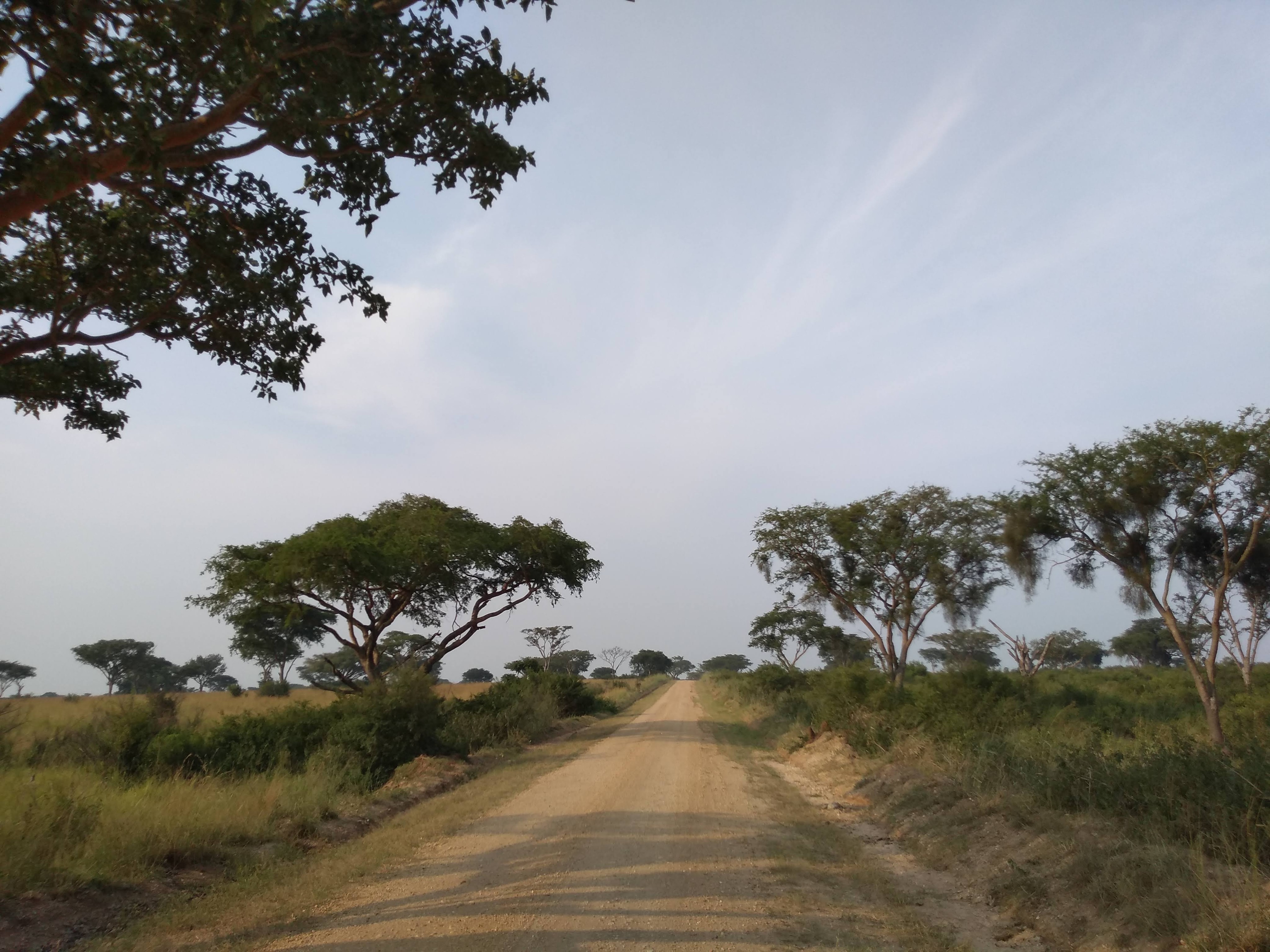 img_20190723_172538653