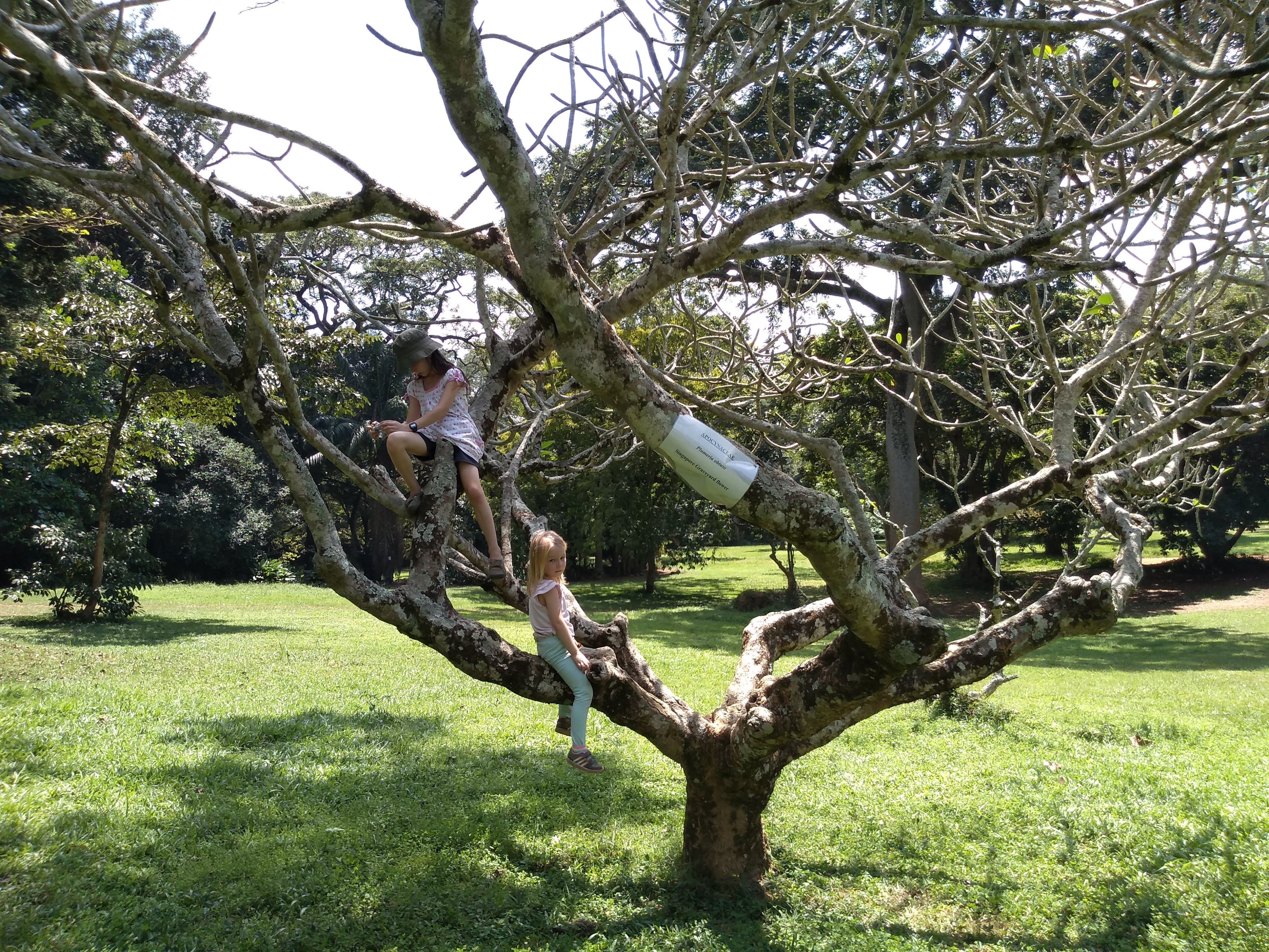 img_20190805_114150633